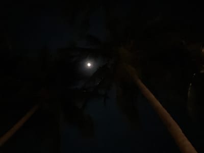 The image shows a dark, night scene with a bright full moon visible in the upper center. The moon is partially obscured by the silhouettes of palm trees, their fronds creating a shadowy, organic frame around the celestial body. The lighting is low, with the moonlight casting a faint glow on the scene. The environment appears to be outdoors, likely a tropical or subtropical location given the presence of palm trees. There are no people or specific landmarks visible in the image, nor any indication of activities or interactions. The image is an unobstructed view of the moon and surrounding vegetation. There is no information in the image to determine its location within Legonipah, Indonesia.
