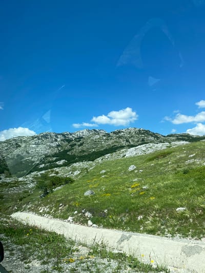 A bright, clear blue sky dominates the upper portion of the image, with a few scattered white clouds. Below the sky, a rugged, rocky mountain range stretches horizontally across the frame. The mountains are covered with patches of green vegetation and appear arid and weathered. In the foreground, a grassy hillside slopes downwards. The grass is lush and green, dotted with small yellow wildflowers and scattered grey rocks. A light-colored, unpaved path winds its way down the hillside, appearing to be a dirt or gravel road. The scene depicts a natural, mountainous landscape under a sunny sky, likely in the area of Pašina Voda, Montenegro, characterized by its natural beauty and rugged terrain. There are no people or animals visible in the image.