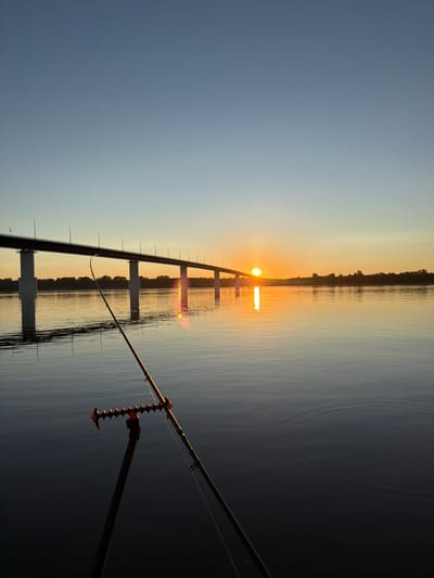 A fishing rod is set up on a stand at the edge of a wide river, with the sun setting behind a long bridge in the distance. The sky is clear and transitions from a pale blue at the top to a warm orange and yellow near the horizon. The sun's reflection shimmers on the calm water, creating a bright path towards the viewer. The bridge, with its numerous pillars and lights, stretches across the river, silhouetted against the colorful sky. The opposite bank of the river is lined with a dark band of trees. The scene captures a serene moment of sunset fishing in Tarasovo, Russia.