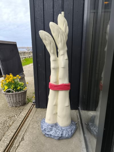 The image shows an outdoor scene in Warmenhuizen, Netherlands, featuring a sculpture of white asparagus tied together with a red rope. The sculpture sits on a grey stone base, adjacent to a dark, vertically paneled building and a reflective window. To the left, a grey wicker basket filled with yellow flowers is positioned next to a black chalkboard. In the background, a green field, a fence, and glimpses of the sky are visible. The setting appears to be a street or sidewalk with a concrete surface.