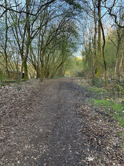 A dirt path, approximately 1.5 to 2 meters wide, extends into a wooded area in Niel, Belgium. The path is unpaved, composed of dark earth mixed with scattered dry brown leaves and appears damp in sections. It tapers slightly and curves gently to the right as it recedes into the distance.
On both sides, the path is flanked by a dense arrangement of deciduous trees forming a canopy overhead. The trees display new, light green foliage, indicating spring or early summer. Tree trunks vary in diameter, with some exhibiting moss growth.
To the left of the path, the ground is heavily covered with fallen dry leaves. Further into the left, partially obscured by the trees, a small, dark-toned wooden structure with a slanted roof is visible.
To the right of the path, the ground transitions from scattered dry leaves to patches of vibrant green grass and undergrowth. In the far distance, positioned near the center of the path, a small, light-colored vertical marker or post is discernible.
The sky, visible through gaps in the tree canopy, is light blue. No individuals or animals are present in the scene. The ambient lighting indicates daylight conditions.