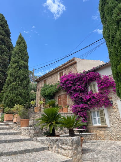 An exterior shot captures a traditional stone house in Pollença, Spain, adorned with vibrant pink bougainvillea climbing its walls. The house features rustic wooden shutters and doors, and is surrounded by lush greenery, including tall cypress trees and various potted plants. A stone staircase leads up to the house, with several potted plants lining the steps. The sky above is a clear blue with scattered white clouds. There are no people or animals visible in the image. The scene conveys a sense of peaceful, Mediterranean charm.