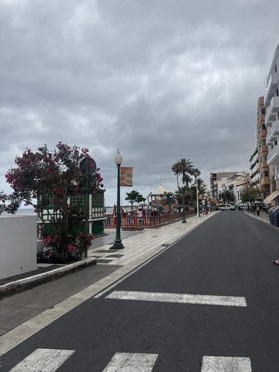 The image shows a street scene in Arrecife, Spain, taken on a cloudy day. A crosswalk dominates the foreground, with the street stretching into the distance, lined with palm trees and buildings. Along the sidewalk, a decorative green structure with flowering bushes and a streetlamp can be seen. Further along the sidewalk, a colorful playground or recreational area is partially visible. The sky is overcast, casting a muted light over the scene.