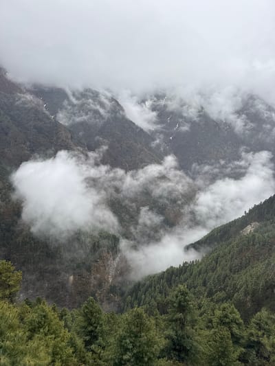 The image presents a dramatic, cloud-shrouded mountainous landscape, consistent with the Himalayan region around Namche Bazaar, Nepal. The photograph is oriented vertically, showcasing a deep valley and steep slopes partially obscured by weather.
In the lower and right portions of the image (as presented), dense evergreen forests, likely conifer trees, cover the rugged terrain. These trees are dark green and cling to the sharp inclines of the mountainside. Moving towards the center and left, the landscape transitions into rockier, more exposed mountain faces and ridges.
Thick, swirling clouds and mist are the most prominent feature, dominating the middle and left sections of the frame. They weave through the valleys and wrap around the mountain peaks, creating a moody and atmospheric scene. The clouds vary in density, with some areas completely whited out and others allowing glimpses of the dark, textured mountain slopes beneath. Small patches of white, possibly snow or ice, are discernible on some of the darker mountain surfaces peeking through the mist.
The lighting is soft and diffused, indicating an overcast day. The scene evokes a sense of remote wilderness and the raw power of nature. No people, animals, man-made structures, or visible text are present. The overall impression is one of serene yet formidable natural beauty.