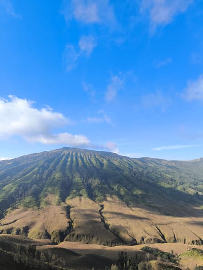 This is a landscape photograph of a large, verdant mountain under a bright blue sky dotted with wispy white clouds. The mountain is covered in lush green vegetation, with distinct vertical striations of darker green running down its slopes. The lower portion of the mountain transitions into a rolling, golden-brown grassland, marked by deep shadows and lighter, sunlit patches. Several narrow gullies or ravines cut through the grassland. The foreground shows more of the undulating grassland and sparse, dark trees. The scene is bathed in sunlight, suggesting it is daytime, likely morning or late afternoon given the prominent shadows. The location is identified as Ngadas, Indonesia, implying a natural, possibly volcanic, landscape. There is no text visible in the image. The overall impression is one of natural beauty and serene wilderness.