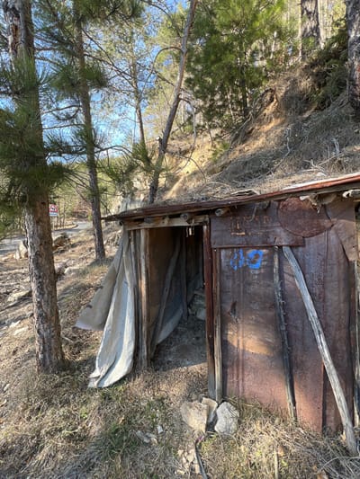 The image depicts a dilapidated, makeshift shelter situated on a dry, rocky hillside near a road in Stoianovo, Bulgaria. The structure is constructed primarily from rusted, corrugated and flat metal sheets, supported by a rough wooden frame. Its entrance, on the viewer's right, is open and reveals a dark, debris-filled interior. A light-colored canvas or tarp hangs loosely from the left side of the entrance, extending to the ground. The roof of the shelter is flat and covered with dried brush and debris. The number "10" is spray-painted in blue on a rusty metal panel to the right of the entrance.
The shelter is nestled against a steep, earthen embankment rising behind it, which is sparsely covered with dry vegetation and small trees. In the foreground and mid-ground, several mature pine trees with rough trunks and green needles are visible, casting shadows. The ground around the structure is arid, covered with dry grass, fallen leaves, and scattered rocks. A paved road, gently curving, is visible in the mid-ground to the left, with a white triangular road sign featuring a red border and a black symbol positioned near it. The scene is illuminated by natural daylight under a clear blue sky. No individuals or active subjects are present.