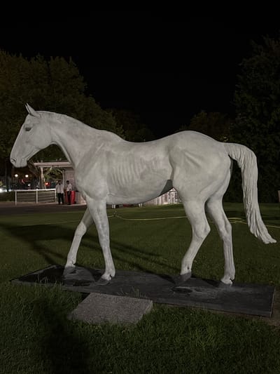 The image features a pale, possibly concrete or stone, statue of a horse in a rearing pose. The statue stands on a dark, rectangular base embedded in a grassy area. The background is split between a dark, tree-filled area on the left and a lighter, grass-covered area on the right. In the center of the image, behind the statue, a fence is visible along with some figures and what appears to be street lighting.
While the image itself does not confirm the location, it is provided that the image comes from the Borough of Spelthorne, United Kingdom. However, specific coordinates or addresses within Spelthorne cannot be determined from the image alone.