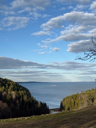 The image depicts a body of water with a ship, a cloudy sky, and land with trees and grass. The composition is vertically oriented. In the water, a ship is visible. The sky contains numerous cumulus clouds. The land exhibits both forested areas and grassy fields. An overhead electric power line structure is present. The specific location within Galevo, Russia, cannot be determined. No people are visible.