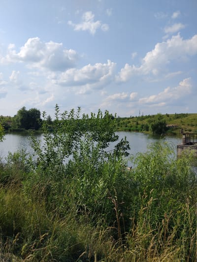 This media file depicts a scenic natural landscape. The scene is dominated by a body of water, likely a river or lake, with the opposite bank lined with lush green vegetation. Tall grasses and trees, some with feathery seed heads, grow densely along the water's edge, creating a natural barrier. In the distance, the land rises gently, covered in more greenery and some scattered trees.
Partially visible in the upper right quadrant is a man-made structure, appearing to be a small dock or platform made of wood and concrete, situated at the water's edge. The sky above is a clear blue, interspersed with fluffy white clouds that are elongated and streaky, suggesting a gentle breeze.
The overall impression is one of tranquility and natural beauty, likely captured on a bright, clear day. The lighting suggests it is daytime, possibly late morning or afternoon. The abundance of green foliage indicates a time of year when vegetation is in full bloom, such as spring or summer. While there are no people visible, the presence of the dock hints at human activity or potential for recreation. The scene conveys a sense of peacefulness, with the still water reflecting the sky and the surrounding greenery. No visible text is present in the image. The location context provided is Antopil, Ukraine.