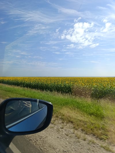 A low-angle shot captures a vast field of sunflowers stretching to the horizon under a bright blue sky with wispy white clouds. In the foreground, a side-view mirror of a vehicle reflects a person's hand and arm, indicating the photo was taken from a moving car. The mirror's housing is dark, and the reflected car body is a deep blue. To the left of the mirror, a blurred green grassy verge runs parallel to a dirt road. The distant landscape appears flat with a faint, dark line on the horizon. The image evokes a sense of travel through a rural area.