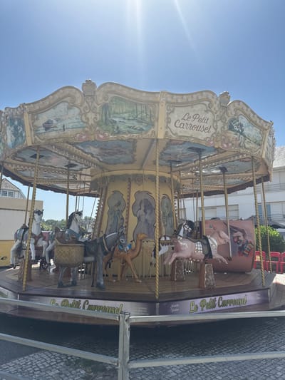 This media file shows a carousel, likely in Wissant, France, on a bright, sunny day. The carousel, named "Le Petit Carrousel," is decorated with painted murals and features various carousel animals like horses and a pig. Some of the animals are ridden by unseen people, suggesting the carousel is in operation or ready for operation. The setting appears to be outdoors, with cobblestone pavement visible, hinting at a public space like a square or promenade. Buildings and trees can be seen in the background, further establishing the outdoor setting. The sun's rays are prominent, indicating it is daytime, possibly mid-morning or afternoon. The overall impression is one of a cheerful, recreational environment. Text visible on the carousel includes "Le Petit Carrousel" repeated several times, along with phrases like "INTERDIT MONTER" (Forbidden to climb) and "NO CLIMBING UP OR DOWN BRING THE LAP," which seem to be instructions or safety notices. The overall tone is light and festive.