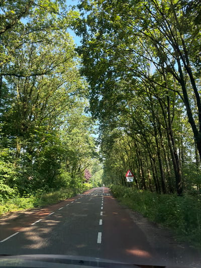 A paved road passes through a dense forest with tall trees lining both sides. The road has a red lane for bicycles and white dashed lines marking the car lanes. A traffic sign warning of horses is visible on the right side of the road. The sun is shining through the leaves, creating dappled light on the road. The scene appears to be a quiet, rural road in Baarle-Nassau, Netherlands, possibly near a nature reserve or recreational area. There are no people or animals visible in the image.