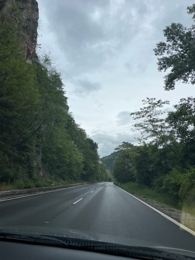 The image depicts a road winding through a mountainous region near Gospodintsi, Bulgaria, taken from inside a vehicle. The road is wet, suggesting recent rain. Lush greenery covers the hillsides on either side of the road, with trees overhanging the path in places. The sky is overcast and cloudy. The overall impression is one of a rural, potentially remote area.