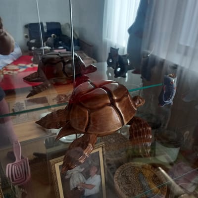 The image shows an interior scene, likely a room in a residence in Cepeleuți, Moldova, as evidenced by context clues. The primary focus is a collection of decorative items displayed within a glass-fronted cabinet. In the foreground, a highly polished, wooden sculpture of a turtle is prominently positioned. This sculpture is intricately carved, with visible details on its shell and limbs. Behind it, and slightly to the left, another similar wooden turtle sculpture is partially visible, suggesting a matching pair or a thematic display.
Further into the cabinet, various other decorative objects can be observed. To the right of the foreground turtle, a small, blue ceramic figurine resembling a fish with red accents is visible. In the background, several other dark-colored ceramic or wooden figurines, possibly owls or other animals, are present. A large, dark, silhouette-like object, possibly a statue or a large decorative piece, is also in the background, to the far right, partially obscured by reflections.
Below the cabinet, on a surface that appears to be a shelf or tabletop, a framed photograph is visible. The photograph depicts a man holding a child, both in light-colored clothing. To the left of the photograph, a pink, comb-like object with a spiral pattern is lying down. Several decorative plates or discs with intricate patterns are also visible on the shelves, adding to the overall display of collected items. The environment suggests a home setting where decorative objects are carefully arranged and displayed, possibly for aesthetic purposes or as part of a personal collection. The lighting suggests an indoor setting, possibly with natural light from a window, indicated by the white curtain visible in the upper right portion of the image. Reflections on the glass doors of the cabinet are present, indicating the presence of a viewer or camera positioned in front of the display.