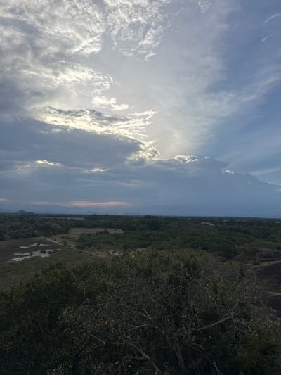 The image depicts a panoramic view of a landscape at dusk, likely from an elevated position. The foreground is dominated by dense foliage of trees, with some branches extending into the frame. Beyond the trees, the mid-ground reveals a flat, verdant expanse of land with scattered trees and what appears to be a body of water or marshy area to the left, crisscrossed by a dirt path. In the distance, a line of low, hazy mountains stretches across the horizon. The sky is a prominent feature, characterized by dramatic cloud formations. Cumulus clouds are heavy and dark on the right, while lighter, wispy clouds, tinged with the colors of sunset, are visible towards the center and left. Sunlight breaks through some of the clouds, creating bright, luminous patches. The overall atmosphere is serene and natural, suggesting an outdoor setting in a rural or undeveloped area. The location is identified as Shastrawela, Sri Lanka. There are no people or discernible actions taking place in the image.
