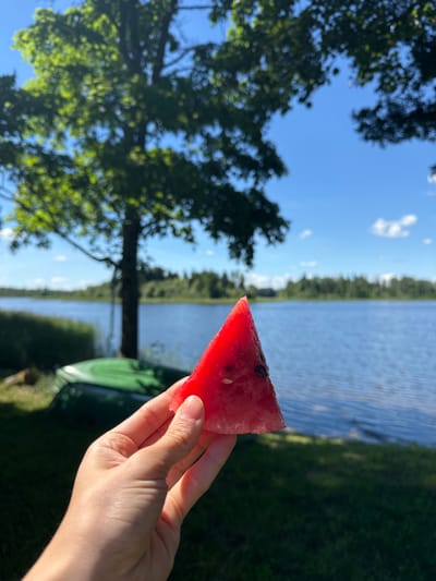 A person's hand holds a triangular slice of watermelon in the foreground. The hand is light-skinned and appears to be in focus. The watermelon slice is bright red with visible seeds. In the background, a calm blue lake stretches out towards a treeline under a bright blue sky with scattered white clouds. A large tree with green leaves is visible to the left of the frame, its branches partially obscuring the sky. To the left of the lake, two green canoes are visible, one on top of the other, resting on the grass. The overall scene suggests a sunny day in an outdoor, natural environment, likely near the city of Lendži, Latvia, given the lake and surrounding trees.