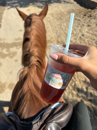 The image depicts a first-person perspective from an individual mounted on a horse in an outdoor equestrian setting within Rancho Murieta, United States. A human right hand, with fingernails painted light pink and featuring white polka dots, holds a clear plastic cup. The cup contains a red-orange liquid beverage and has a light blue plastic straw inserted. A white label on the cup reads "Coastal Cowgirl BEVERAGE CO." and features graphic elements including a beer mug, a cactus, and a cowboy hat. Condensation is visible on the exterior of the cup, indicating a cold drink. The upper back and mane of a reddish-brown horse are visible directly in front of the viewer, with its ears pointed forward. A brown leather English-style saddle is positioned on the horse's back, partially visible in the lower left portion of the frame. The lower portion of a human leg, clad in a dark riding boot, is visible next to the saddle. The ground beneath the horse is light brown dirt, and bright sunlight casts distinct shadows across the scene.