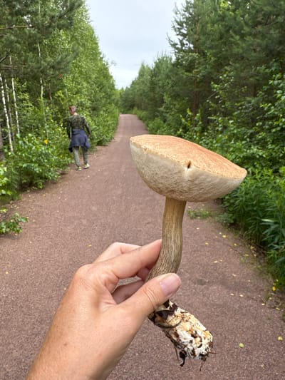 In Peski, Russia, a person's hand holds a large mushroom with a tan cap and a textured, light brown stem. The mushroom's root system, encased in dark soil and white mycelium, is visible at the bottom. In the background, a gravel path winds through a forest lined with tall green trees and dense undergrowth. A person wearing a camouflage jacket, dark pants, and a blue jacket tied around their waist walks away from the camera down the path. The sky is overcast.