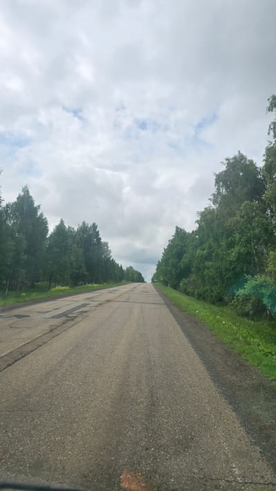 The image displays an outdoor road scene in Солояз, Russia, under an overcast sky. The upper half of the frame is dominated by a light gray, cloudy sky with visible patches of brighter blue, indicating diffuse lighting.
A two-lane asphalt road extends from the bottom center into the distance, curving slightly and appearing to ascend a gentle incline before disappearing over a crest. The road surface exhibits considerable wear, characterized by numerous cracks, irregular patches of repair, and a generally rough texture. No vehicles or pedestrians are present on the road.
Lush green vegetation flanks both sides of the road. On the left, a dense line of trees, including both tall conifers and deciduous varieties, forms a continuous barrier. A narrow grassy shoulder with scattered yellow wildflowers separates the road from the tree line. On the right, a similar dense line of green deciduous trees borders the road, with a wider grassy shoulder. A small, unreadable triangular road sign with a red border is visible on the far right shoulder in the mid-distance.
A dark, irregular shadow, likely cast by the vehicle from which the photograph was taken, is visible along the bottom edge of the frame, extending onto the road and right shoulder. A subtle, reddish-brown artifact is also present on the road surface in the extreme bottom right corner. The overall scene suggests a rural or semi-rural environment during late spring or summer.