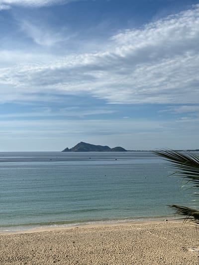 The image depicts a serene coastal scene in Lệ Uyên, Vietnam, under a bright sky dotted with wispy clouds. The foreground is dominated by a sandy beach, its surface textured with footprints. Gentle waves lap at the shore, marking the transition to the calm, turquoise ocean that stretches towards the horizon. In the distance, a rugged, mountainous island rises from the sea, its peaks silhouetted against the sky. A few small boats are scattered across the water, adding a sense of scale and activity to the vast expanse. A palm frond intrudes into the frame from the right, its dark green leaves providing a natural border to the view. The overall impression is one of peaceful, natural beauty.