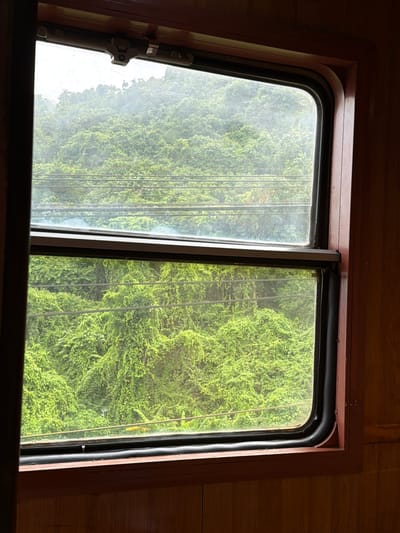 This is a medium shot of a train window, looking out at a densely vegetated hillside. The window is divided into two panes by a horizontal bar. The top pane is slightly fogged, obscuring the view beyond, which appears to be a lighter sky and distant trees. The bottom pane offers a clearer view of a vibrant green hillside covered in thick foliage, possibly vines or dense trees. Several horizontal wires, possibly power or telephone lines, are visible across the view in both panes. The interior of the train is visible around the window, with wooden paneling on the right and left sides. The window frame is a reddish-brown color, and there is a silver latch mechanism at the top of the upper pane. The scene appears to be from a train traveling through a lush, natural environment. While the image does not directly show the city of Hải Vân Ward, Vietnam, the dense vegetation and potential for train travel suggest a location within or near a mountainous or hilly region of Vietnam, where such scenery is common.