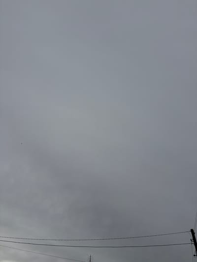 The image depicts a gray, overcast sky. In the lower center of the frame, a small, dark object resembling a bird or airplane is visible. In the upper right corner, electrical power lines and a utility pole are partially visible. The location is inferred to be Dimitrov, Armenia, solely based on the user prompt.