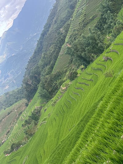 The image shows an aerial view of rice terraces in Bản Hồ, Vietnam. Lush green rice paddies cover the terraced slopes. Patches of trees interrupt the landscape. In the distance, hazy mountains are visible under a cloudy sky.