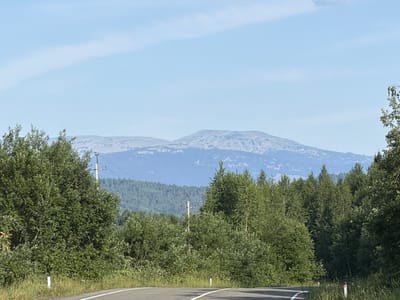 The image depicts a scenic view from a road, likely in or near the city of Kaz, Russia, showcasing a natural landscape under a clear blue sky. In the foreground, a paved road curves to the right, with white dividing lines visible. The roadside is bordered by tall green grass and various lush trees and bushes. Further back, a dense forest stretches across the middle ground, with a clear demarcation between the foreground foliage and the more distant trees. Beyond the forest, a range of mountains is visible, their peaks appearing somewhat rounded and covered in a lighter colored, possibly rocky or sparse vegetation, contrasting with the dark green of the forest. The sky is a pale blue with faint white wispy clouds, suggesting fair weather. A utility pole with wires is visible amidst the trees in the middle ground. There are no people or animals visible in the frame.