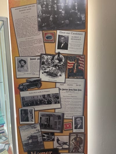This image depicts a vertical museum exhibit display board, approximately 2 meters in height, located within the American Racing Pigeon Union headquarters in Oklahoma City, United States. The board, mounted on a cream-colored wall, is densely covered with historical documents and photographs, predominantly in monochrome or sepia tones, affixed to a brown background.

Visible content includes:
*   A large vintage group photograph at the top center showing approximately two dozen men, some holding pigeons, dressed in formal attire outdoors.
*   A textual document on the top left titled "ROBOOR'S PATENT RING FOR MARKING RACES," detailing pigeon identification bands and a ring-opener.
*   A campaign-style document on the mid-right titled "Elect our Candidate ALBERT J. BEHRENDT," featuring a portrait of the identified Secretary-Treasurer of the American Racing Pigeon Union.
*   An illustration titled "LIBERATING HOMERS" depicting multiple pigeons flying from release baskets, positioned mid-center.
*   A wartime poster on the mid-right featuring Uncle Sam pointing, with the text "DON'T WAIT FOR THE DRAFT VOLUNTEER."
*   A photograph at the lower mid-left shows a crowd of people, including "Pigeon Fanciers and Ladies," gathered in front of the White House, dated October 1930, titled "President Hoover and His New Bodyguard."
*   A large textual document on the lower center-right is titled "The American Racing Pigeon Union," with sections like "Progress" and "Some Facts to Think Over."
*   A photograph of a single pigeon labeled "A Champion" is visible on the lower right, adjacent to a "U.S.A. BONDS LIBERTY" war poster depicting an Indigenous American figure with a shield and spear.
*   Other visible elements include portraits of individuals such as Jake Kirkman and John S. Buchanan, a black vintage automobile, illustrations of pigeon-related transportation (e.g., a pigeon loft on a truck), and various historical postage stamps, including a 24-cent airmail stamp.

A glass display case containing books is partially visible on the left side of the frame. The scene is illuminated from an overhead light source, casting a vertical shadow on the wall to the right.