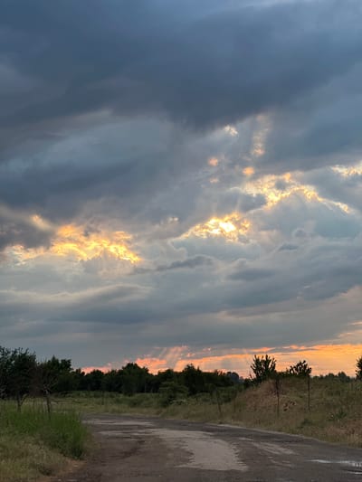 The image presents a dramatic rural landscape, likely captured during either sunrise or sunset in Doganovo, Bulgaria. The sky dominates the scene, filled with a dynamic array of clouds. To the left, large, dark grey clouds create a sense of impending weather or deep shadow. Towards the right and center, the clouds lighten, revealing brilliant golden and orange light from the sun, which spectacularly breaks through the cloud cover. Visible sunrays pierce through the gaps, illuminating the edges of the clouds and casting a warm glow across the horizon.
The lower right portion of the frame shows a rustic dirt or gravel road, which appears wet, indicating recent rain. Adjacent to the road is a grassy area with both green and dried vegetation, leading to a line of trees that stretches across the horizon. The trees are varied in size and foliage, some appearing dense and dark, while others are more sparse. No people, objects, or visible text are present in the image. The scene evokes a sense of tranquil beauty combined with the drama of changing weather and the golden hour light.