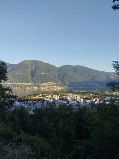 A high-angle, wide shot captures a panoramic view of Orselina, Switzerland, on a clear day. The foreground is dominated by dark, lush green trees and foliage. Beyond the trees, a city spreads out with numerous buildings featuring white, gray, and some colored facades, densely packed together. A body of water, likely a lake, lies behind the city, reflecting the surrounding landscape. In the background, large, green, tree-covered mountains rise majestically. The sky is a bright, clear blue, with a hint of sunlight casting shadows across the scene, suggesting it is either early morning or late afternoon.