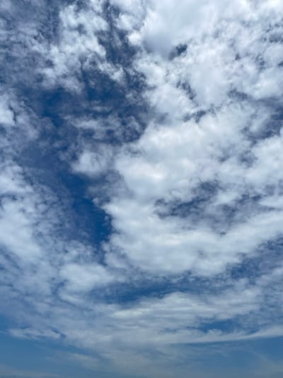 A vibrant blue sky is filled with a collection of white, fluffy clouds. The clouds appear as small, distinct formations, creating a textured and dynamic sky. Some clouds are dense and opaque, while others are thin and wispy. The sky's blue hue provides a striking contrast against the white of the clouds.