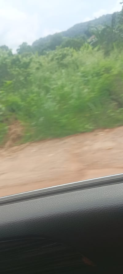 The image shows a blurred view of a landscape from inside a moving vehicle. In the foreground, the vehicle's black textured interior panel and window trim are visible. Outside the window, a sandy or dirt road is adjacent to lush green vegetation, possibly grasses and shrubs. In the background, a blurry forested area or hills can be seen under a cloudy sky. While Umuoye, Nigeria is referenced, there's no definitive proof in the image to indicate its location. The scene suggests a rural or semi-rural setting, observed from the passenger seat.