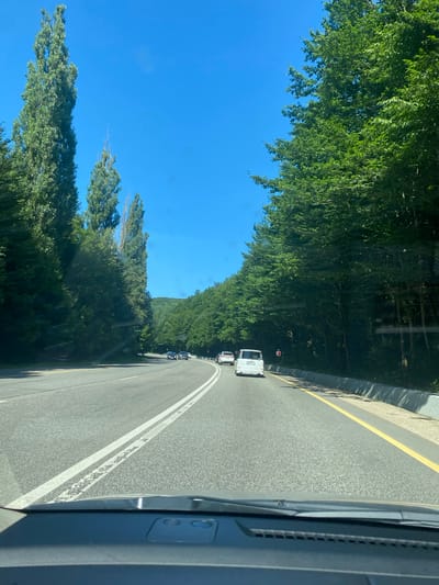 The image depicts a view from a vehicle traveling on a paved road lined with dense trees on both sides. The sky is clear and blue. Several cars are visible on the road ahead, including a white van. The road has double white lines marking the lanes and a yellow line along the right edge. A concrete barrier runs alongside the right side of the road. The scene appears to be a rural or suburban area with abundant vegetation, possibly a park or a scenic route. The location is identified as Khrebtovoe, Russia.