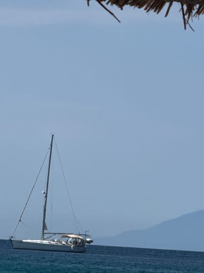 A sailboat with people on board is sailing on a body of water. The sky is a clear, pale blue, suggesting daytime with fair weather. The water is a deep blue with some rippling on the surface. In the foreground on the left, a portion of a thatched roof structure is visible, with dark straw-like material and thin sticks. In the background, a hazy, mountainous landmass is discernible against the sky. The sailboat is white and has at least one mast with rigging and sails. Some individuals are visible on the deck of the boat. The scene evokes a sense of a calm, pleasant day spent on the water.