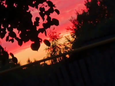 The image depicts a vibrant sunset over Shestunikha, Russia. Silhouetted tree branches and leaves frame the sky, which is a dramatic gradient of fiery red and warm orange, indicative of twilight. In the foreground, dark shapes suggest foliage or perhaps man-made structures, their details obscured by the low light. The overall impression is one of natural beauty and tranquility.