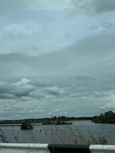The image depicts a wide body of water, likely a river or lake, under a cloudy sky. In the foreground, the edge of a road barrier, painted white and black, is visible. The water is calm with some reeds or tall grass growing in the foreground, partially obscuring the view of the water. In the mid-ground, a small, overgrown island with trees sits in the water. Scattered throughout the water are visible structures that appear to be telephone poles or similar utility poles. The background shows a dense line of trees and vegetation along the far bank of the water, with hints of buildings suggesting a settlement. The overall impression is a rural or semi-rural landscape with signs of flooding, given the water level appearing to be very high, covering what might be roads or fields. The location is identified as Eryomina, Russia. There are no people visible in the image.