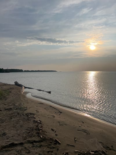 This media file depicts a serene lakeside scene at sunset. The sun, a bright orb, is partially obscured by wispy clouds, casting a warm, golden glow across the sky and its reflection on the rippling water. The left side of the image is dominated by the sky, with the sun positioned high and slightly to the left, surrounded by delicate, elongated clouds. The right side of the image shows a sandy beach bordering a calm body of water. Footprints are visible in the sand, suggesting recent human presence, and a piece of driftwood lies partially submerged at the water's edge. The far bank of the lake is lined with a dense, dark forest. The overall mood is peaceful and tranquil, evoking a sense of natural beauty and quiet contemplation. The time of day is clearly sunset due to the low angle of the sun and the warm lighting. The weather appears to be partly cloudy. The location is a natural setting by a lake, possibly a recreational area given the footprints on the beach. No text is visible in the image.