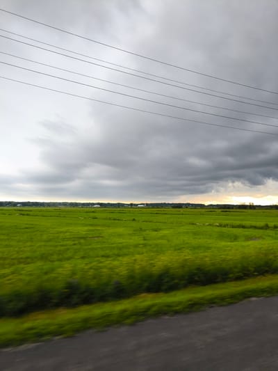This media file depicts a wide, green field under a dramatic, cloudy sky. Power lines stretch horizontally across the upper portion of the frame, dividing the sky. In the distance, a line of trees and some buildings are visible along the horizon. The overall impression is one of a rural landscape. The lighting suggests it might be late afternoon or early evening, given the slightly muted light filtering through the clouds. The sky is predominantly filled with dark, heavy clouds, indicating potentially inclement weather, though there is a hint of brighter light on the horizon, possibly from the setting sun. The field itself is lush and vibrant green, indicating a healthy growing season. The motion blur in the foreground, particularly on the right side, suggests the image was captured from a moving vehicle, such as a car or train, traveling alongside the field. There is no visible text in the image.