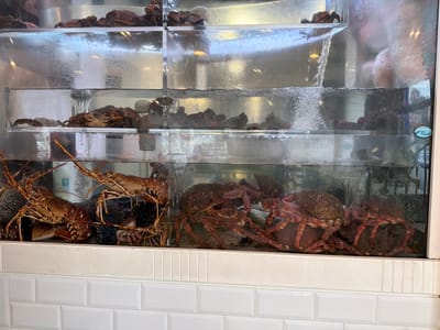 The image displays a multi-tiered, live seafood aquarium system, likely situated within a restaurant or seafood market in Colunga, Spain. The aquarium features clear glass compartments filled with circulating water, resting above a white tiled wall with a light-colored ledge.

The top tier contains several smaller, reddish-brown crabs. The middle tier is divided, with its upper section holding a cluster of medium-sized reddish-brown crabs amidst aerated water, and its lower section densely packed with more reddish-brown crabs, possibly spider crabs. Water cascades between the tiers. The bottom tier is separated into at least two sections: the left contains multiple large lobsters, exhibiting reddish-brown and darker patterns with prominent antennae, while the right holds a tight group of large, dark reddish-brown crabs, also consistent with spider crabs, resting on the tank's sandy substrate.

The water throughout the system appears clear, with active aeration and visible flow. Reflections of internal lighting and blurred background elements, possibly including a person's arm, are visible on the wet glass surfaces. A small blue oval logo with "PRIETO" in white text is affixed to the far right side of the middle tier. No people are directly visible within the frame, and the seafood exhibits typical inactive behavior for display tanks.
