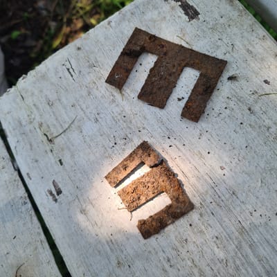 Two rusted, E-shaped metal fragments are displayed on a weathered, white wooden surface. The fragments are positioned at an angle, with one slightly above and to the left of the other. The wooden surface exhibits cracks and discoloration, suggesting outdoor exposure. In the background, blurred greenery and dark soil indicate an outdoor environment. A small insect is visible on the surface near the upper fragment. The scene appears to be located in a rustic, outdoor setting, possibly a yard or garden. The image does not provide specific details about the city of Тауш, Russia, beyond it being the general location.