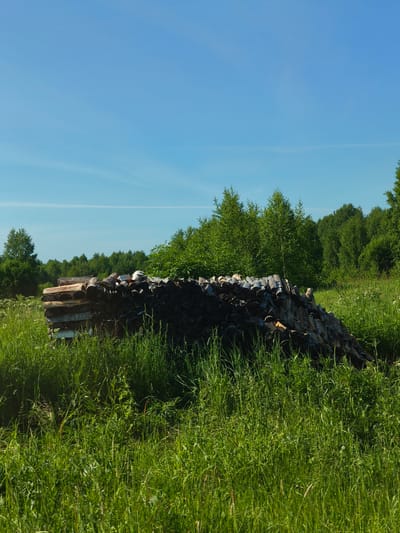 A pile of firewood is stacked in a grassy field under a clear blue sky. The firewood is arranged in two distinct sections; one section is stacked neatly in horizontal rows, while the other section is piled more loosely in a sloped fashion. The wood varies in size and color, with some logs appearing lighter and newer, and others darker and more weathered. In the background, a dense line of green trees stretches across the horizon. The foreground and middle ground are covered in tall, vibrant green grass, with some lighter wildflowers interspersed. The scene appears to be in a rural or semi-rural setting, possibly on the outskirts of Zhukovo, Russia, given the natural landscape and the presence of firewood, which is a common fuel source in such areas. There are no people or animals visible in the image.