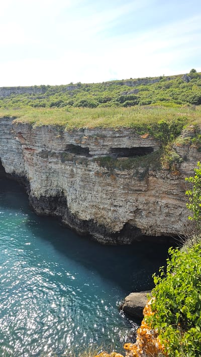The image shows a cliffside view in Kamen bryag, Bulgaria. The cliff is layered with visible sedimentary rock formations. Green vegetation covers the top of the cliff and spills down its sides. The base of the cliff meets the turquoise water of the Black Sea. Sunlight reflects off the surface of the water. Some greenery hangs over the edge of the cliff on the right.
