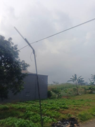 The image depicts a semi-rural landscape in Morrumbala, Mozambique, under an overcast sky. A dark, slender utility pole with a horizontal crossbar is centrally located in the foreground, from which power lines extend horizontally. A detached wire segment hangs from this pole. To the left, a section of a dense, dark green tree is partially visible. A single-story, grey building with a small, white-barred window on its side occupies the mid-ground. Beyond the building, extensive green vegetation, characteristic of cultivated fields or agricultural plots, stretches towards the horizon. Several banana trees are interspersed within these fields. Dark, disturbed earth or debris is present in the lower right foreground. No individuals or active subjects are observable within the frame.