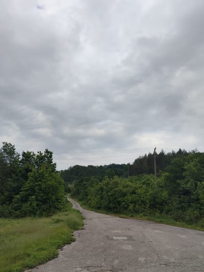 The image shows a weathered asphalt road winding through a rural landscape, likely in the vicinity of Skravena, Bulgaria, but specific location is impossible to determine from the image. The road surface is cracked and shows signs of disrepair. Dense green vegetation, including trees and shrubs, lines both sides of the road. Overhanging the treetops is a cloudy, overcast sky, indicating potential inclement weather. There are visible power lines running above the tree line. The image does not depict any people or explicit actions.