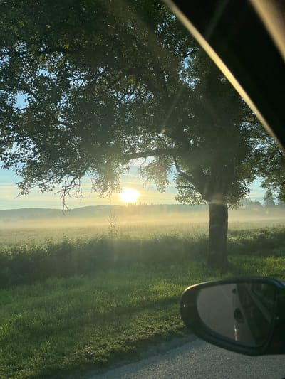 A landscape photo taken from inside a car shows the sun shining through a tree, with a side mirror visible on the right. The scene outside the car features a field with low-lying fog. The photograph was taken during the day in Kastel, Bulgaria.