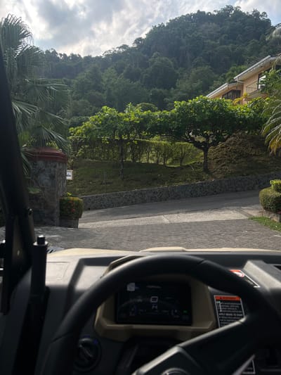 The image shows a view from inside a vehicle, looking forward towards a paved road leading up to a gated driveway. The road is bordered by green, dense vegetation. The vehicle is a side-by-side ATV. There are green trees on both sides of the road, including a group of large trees with a single large trunk. The vehicle is in the foreground and its steering wheel is in focus. The dashboard is visible with a digital display. There is a sign visible in the background that reads "Entrada." There are no people visible in the scene. The scene is located in Playa Herradura, Costa Rica. The coordinates are latitude: 9.658, longitude: -84.673. The weather appears to be partly cloudy. The image is likely taken on a sunny day.