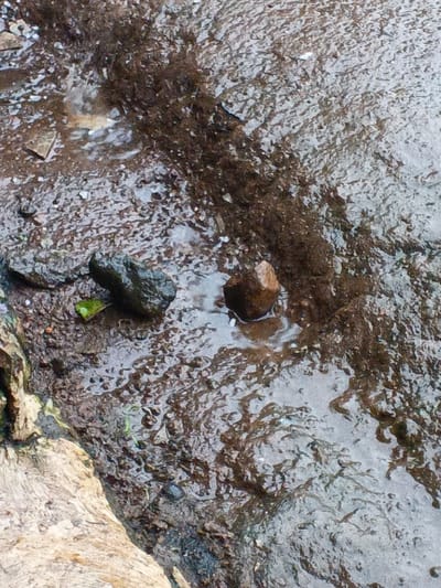 The ground is wet and rocky. Two larger rocks sit near the edge of a concrete or wooden structure. A small green leaf is near one rock. The water creates a reflective surface, enhancing the texture of the ground and rocks. A dark, dirt-filled channel runs diagonally across the upper portion of the scene. The overall tone is muted, with earth tones dominating.