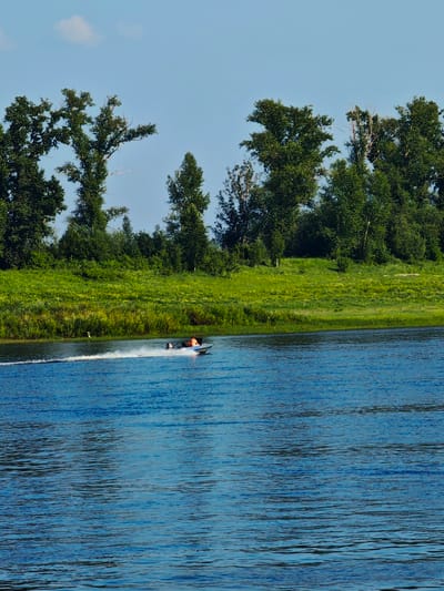 In this vertical, eye-level shot, a person is riding in a small motorboat on a bright blue river. The boat is moving quickly, creating a white wake behind it. The person, wearing an orange shirt, is seated in the boat and appears to be controlling its direction. The water is calm with gentle ripples, reflecting the clear blue sky.
The background features a lush, green shoreline with a dense line of trees. The trees are tall and leafy, with some visible branches extending towards the sky. The vegetation along the riverbank is vibrant and appears to be a mix of grass and smaller bushes. In the distance, a single white bird, possibly a heron, stands on the grassy bank near the water's edge.
The scene suggests a pleasant, sunny day, likely during the warmer months. The clear sky and the activity on the water indicate fair weather. The overall impression is one of peaceful recreation in a natural, riverside setting. The location context of Verkhnepashino, Russia, places this scene in a region known for its natural beauty and waterways. There is no visible text in the image.