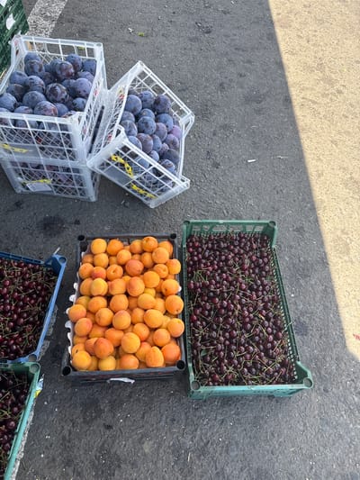 This is an outdoor scene, possibly a market, with several crates of fruit laid out on a paved surface, likely asphalt, with a shadow line cutting across from right to left. In the upper left are two white plastic crates filled with dark purple plums. The crate on the left is stacked on top of another identical crate, also filled with plums. To the right of the plums, there is a dark gray plastic crate filled with apricots, which are a vibrant orange-yellow color. Next to the apricots, to the right, is a green plastic crate overflowing with dark red cherries. To the left of the apricots and below the plums, is a blue plastic crate filled with more dark red cherries. The ground is dark gray asphalt. The scene is lit by bright sunlight, creating strong shadows. There are no people visible in the image.